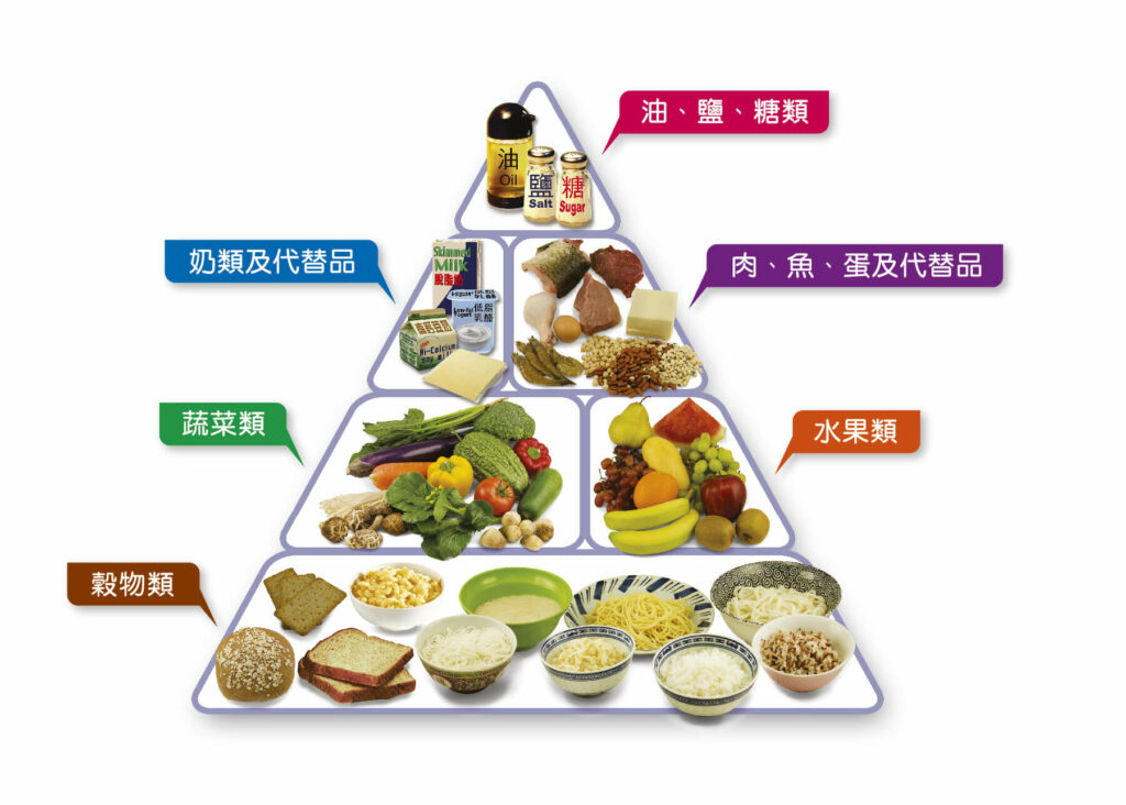 21世紀飲食金字塔圖