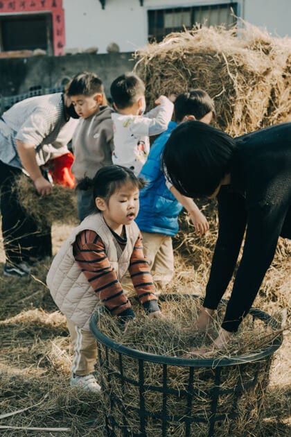 孩子們幫忙運送稻草